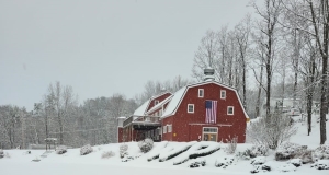 Photo by Richard D. Venne, Vermont, USA, November 2022.