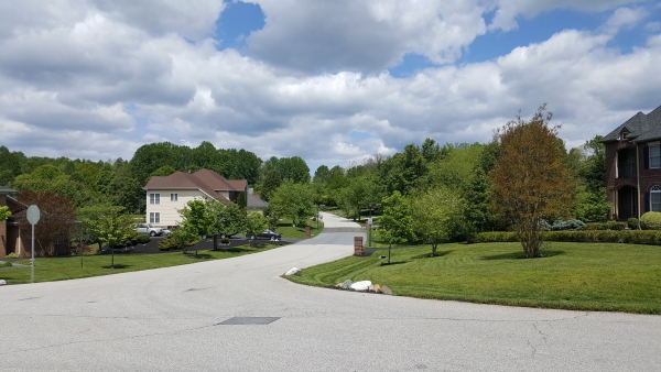 Long, quiet streets in Prince George's County, Maryland, during COVID-19 pandemic, May 2020.