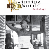 Cover photograph of The 2011/2012 ArtsEtc NIFCA Winnings Words Anthology by Rachelle Gray.