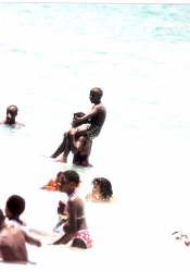 Oistins • sea game • cock-fighter